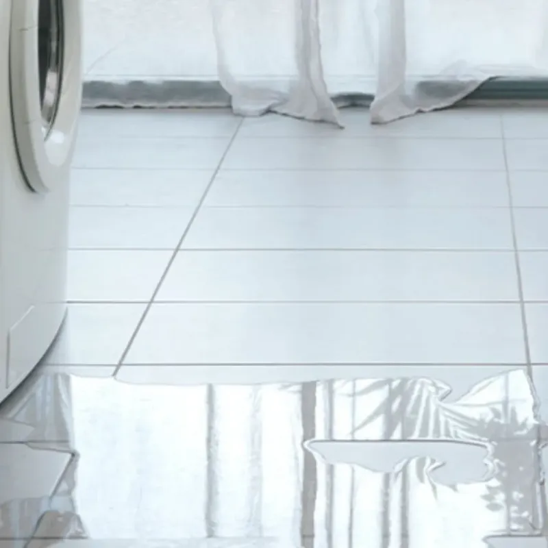 Appliance Leak Cleanup in Lakeport, CA