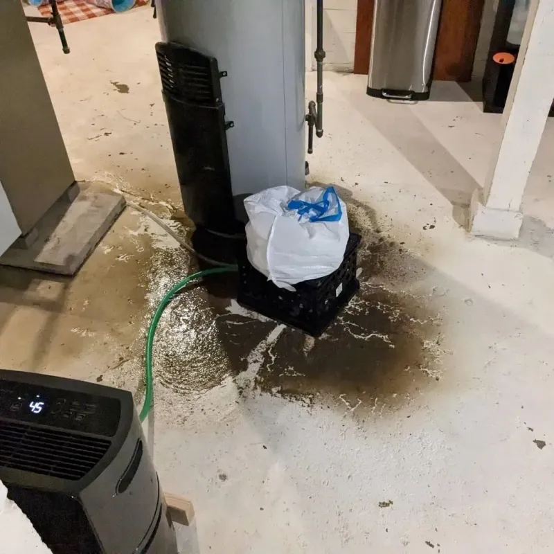 Sewage Backup Cleanup Service in Lakeport, CA